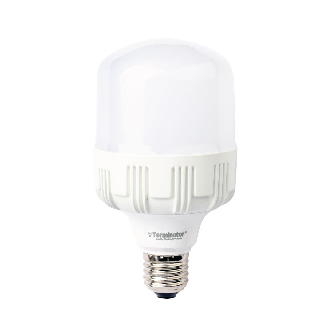 LED Bulb A20W Day Light E27