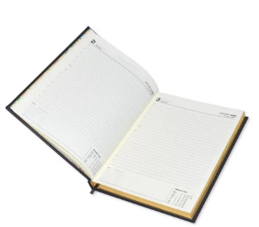 FIS Executive Diary 2023 (English) 1-Side Padded with Gilding, Blue - FSDI88EPG23BL