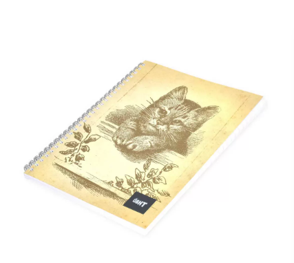 LIGHT Pack of 10 Spiral Soft Cover Notebook Single Line, 9X7 Inches (22.86 X 20.32 CM), 80 Sheets -LINB971517S
