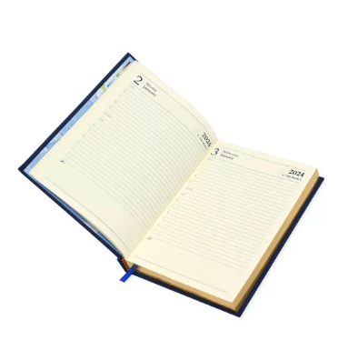 FIS Golden A5 Diary 2024 (English) Black - FSDI26EG24BK
