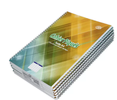 FIS Pack of 10 French Spiral Note Book, Size A4, 80 GSM, 96 Pages - FSNBSFRA4801