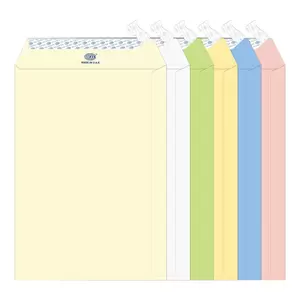 FIS Executive Laid Paper Envelopes Peel & Seal, Pack of 25 Pcs. 6 Assorted Colors, C4 (324 x 229 mm) Size, 100 GSM - FSEE1027PB625