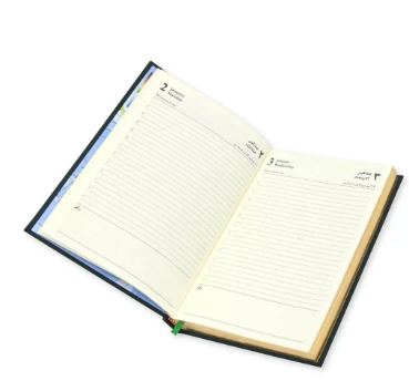 FIS Golden A5 Diary 2024 (Arabic/English) Green - FSDI26AEG24GR