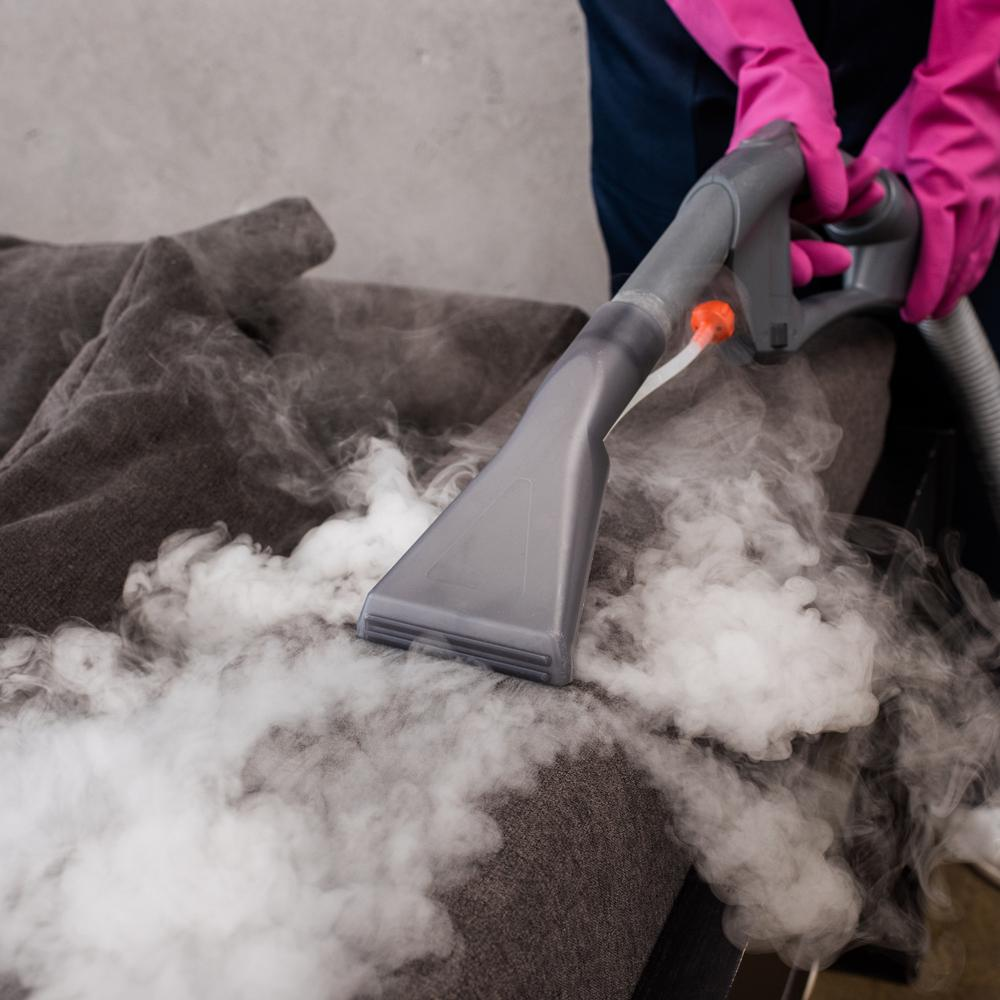 Elsea | Steam Plus Vacuum | 22 Liters