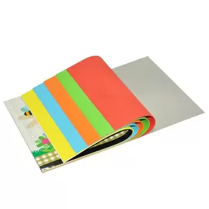 12-Piece FIS Colored Scrap Book Binding 20-Sheets A4, 160GSM - FSSKSCBA420