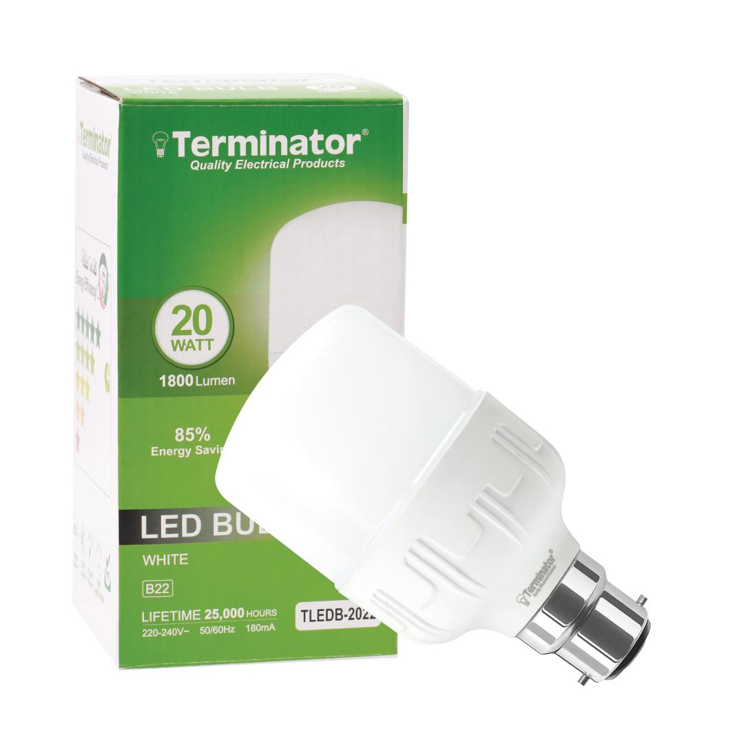 LED Bulb A20W Day Light B22