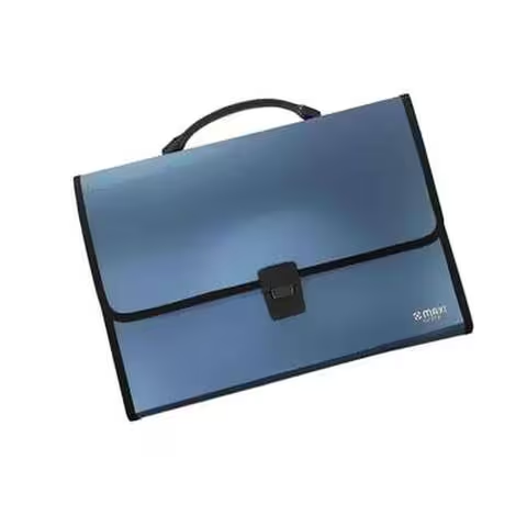 Maxi Document 13 Grids Case With Handle Assorted Colors