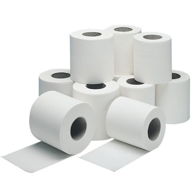 2-Ply Toilet Paper White 300-Sheet 10 x 10 Rolls
