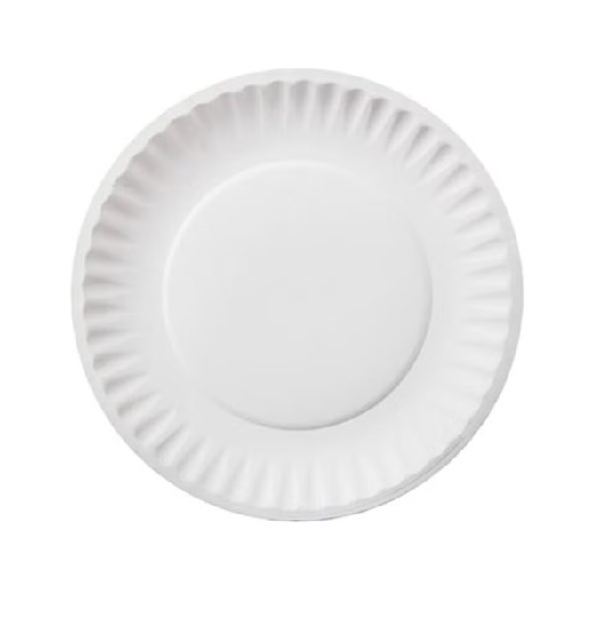 Disposable Paper Plates 9 inches 100 Pieces