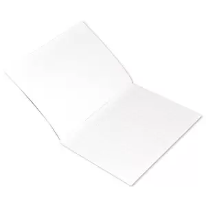 FIS Exercise Book, Pack of 12, Size:16.5 X 21 cm, 100 Pages, 2 Line Single Side Plain - FSEB2LP100N