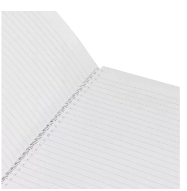 LIGHT Pack of 10 Spiral Soft Cover Notebook, Single Line, 9X7 Inches (22.86 X 20.32 CM) 100 Sheets -LINB971702S