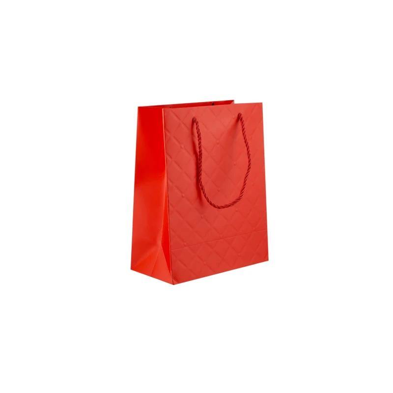 Gift Red Paper Bag 20x10x25Cm 10 Piece