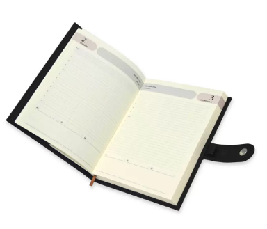 FIS Agenda Diary 2024 (English) Dark Brown - FSDI61024EDBR