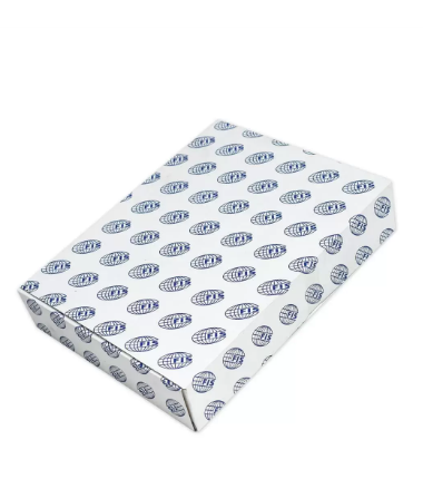 Pack of 10 Pieces Card Divider (1 – 31) English, Size A4 Blue/Red/Yellow