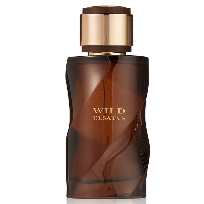 REYANE TRADITION WILD ELSATYS (M) EDP 100ML