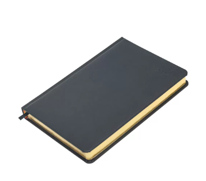 FIS Golden A5 Diary 2024 (Arabic/English) Black - FSDI19AEG24BK