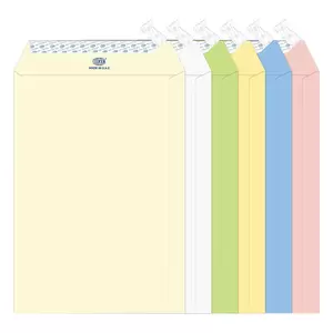 FIS Executive Laid Paper Envelopes Peel & Seal, Pack of 25 Pcs. Assorted Colors, 10 x 7 inch Size, 100 GSM - FSEE1033PB625