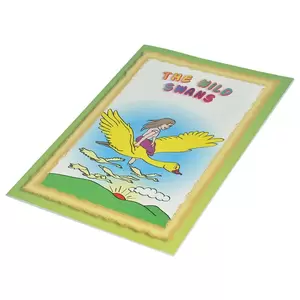 12-Piece FIS Coloring Book Wild Swan 28-Pages - FSCGA4N005