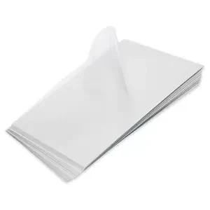 FIS OHP/Copier Films100 Sheets, A4 (210 x 297 mm) Size, 100 Microns - FSFM210X297P