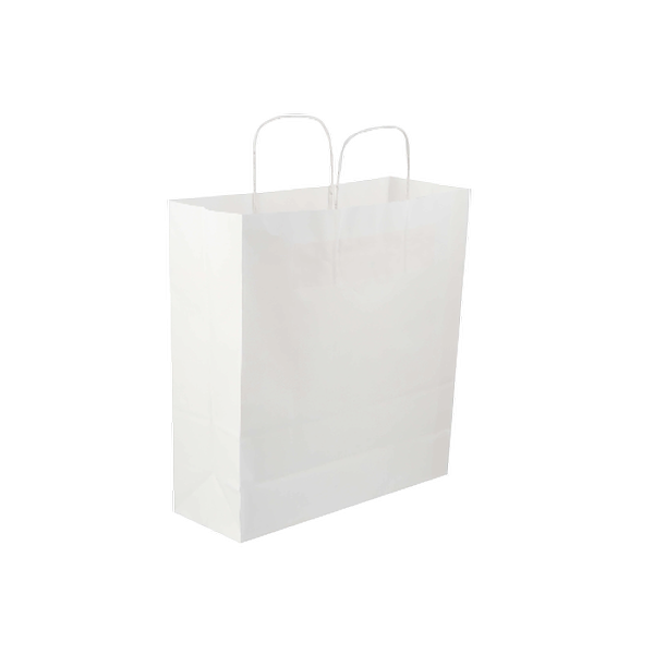 White Twisted Handle Paper Bag