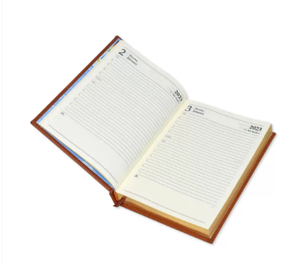 FIS Golden A5 Diary 2023 (English) Dark Brown - FSDI26EG23DBR