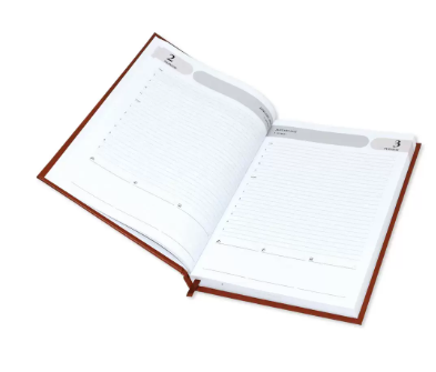 FIS 2023 Agenda Diary English Vinyl Hard Cover, Brown - FSDI75EV23BR