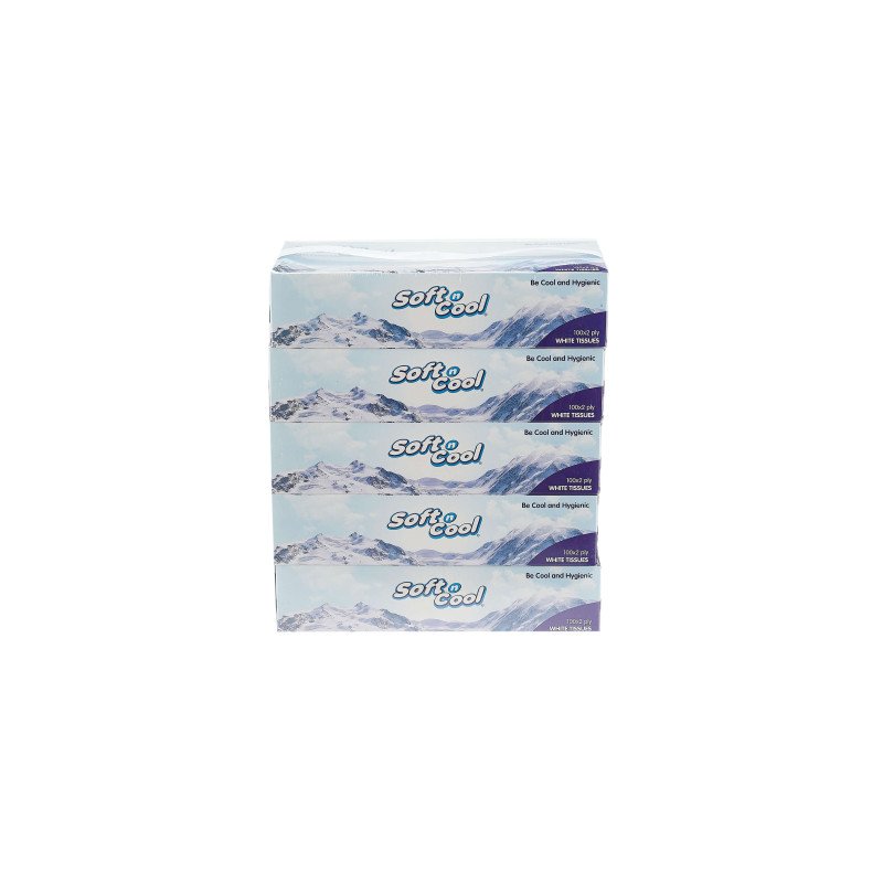 30 Boxes Soft n Cool Facial Tissue 100 Sheets x 2 ply