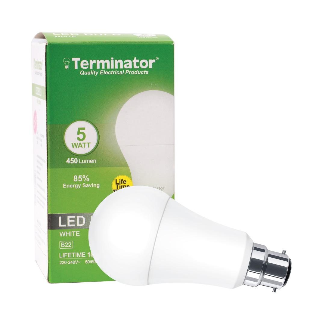 LED Bulb 5W Day Light B22