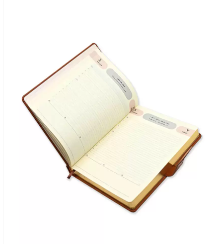 FIS Golden Agenda Diary 2023 (Arabic/English) Italian PU, 1-Side Padded, Brown - FSDI75AEPG23BR
