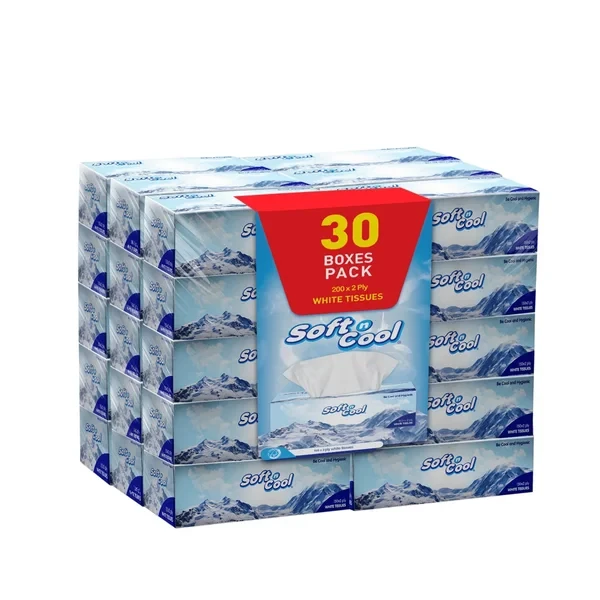 Soft n Cool Facial Tissue 30 boxes 200 Sheets x 2 ply