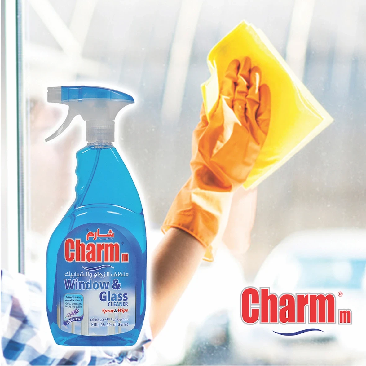 Charmm Window & Glass Cleaner Blue 750 ml