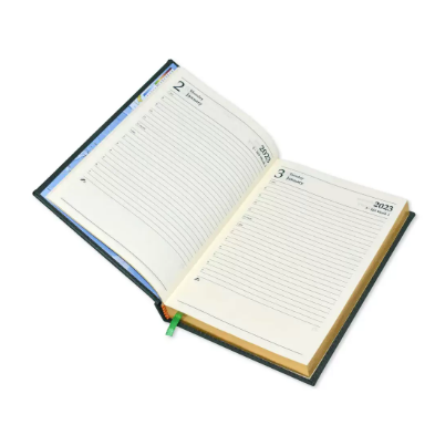 FIS Golden A5 Diary 2023 (English) Maroon - FSDI26EG23MR