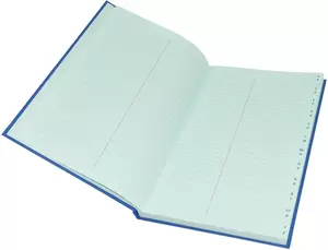FIS Ledger Book, Azure Laid Ledger Paper, FS (210 x 330 mm) Size, 2 Quire - FSACLTC2Q73