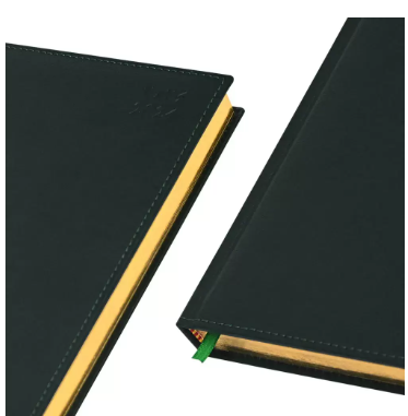 FIS Golden A5 Diary 2024 (Arabic/English) Green - FSDI26AEG24GR