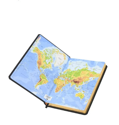 FIS Golden A5 Diary 2024 (Arabic/English) Black - FSDI19AEG24BK