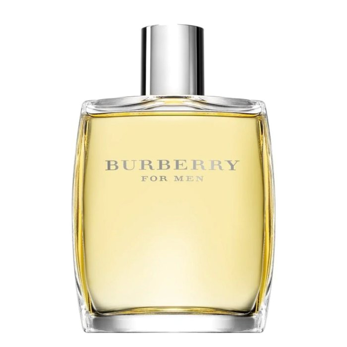 BURBERRY CLASSIC (M) EDT 100ML