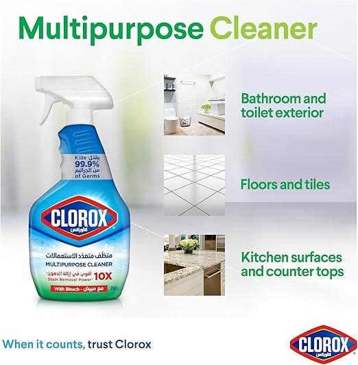 Clorox Multipurpose Spray Cleaner with Bleach, 750ml, Kills 99.9% Of Germs, Clorox Spray Cleaner with Bleach