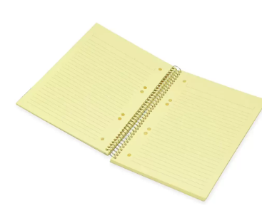 FIS Spiral Hard Cover Color Notebook, Single Ruled, 100 Sheets, Cream Color Paper, Micro Perforation, 6 Punch Holes and Safety Lock, 80 gsm, B5 Size - FSNBSB5100CR