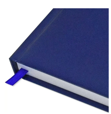 FIS Agenda Diary 2024 (English) Blue - FSDI75EVN24B
