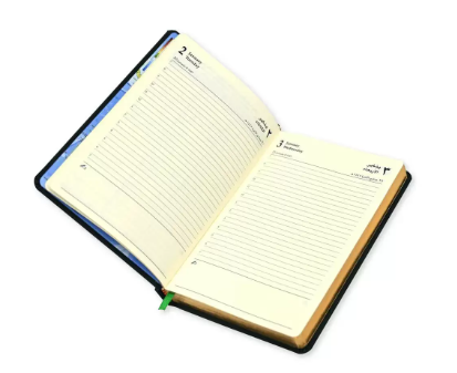 FIS Golden A5 Diary 2024 (Arabic/English) Green - FSDI19AEG24GR