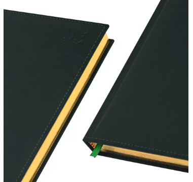 FIS Golden A5 Diary 2024 (Arabic/English) Green - FSDI26AEG24GR