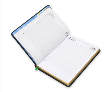 FIS Golden Diary 2024 (English) Green, A5 - FSDI23EG24GR