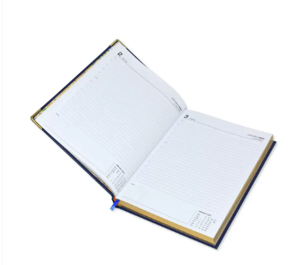 FIS Golden Executive Daily Diary 2023 (English) Brown - FSDI88EG23BR