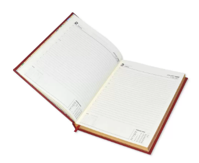 FIS Diary 2023 (English) Black, A4 - FSDI41E23BK