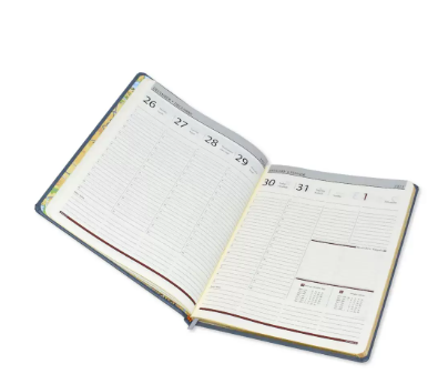 FIS 2023 Golden Executive Diary (English) Bonded Leather 1-Side Padded Grey - FSDI35EGB23GY