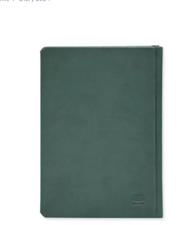 FIS Golden A5 Diary 2024 (Arabic/English) Green - FSDI19AEG24GR