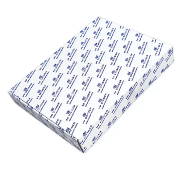 Pack of 25 Pieces PP A4 Index Divider Blue