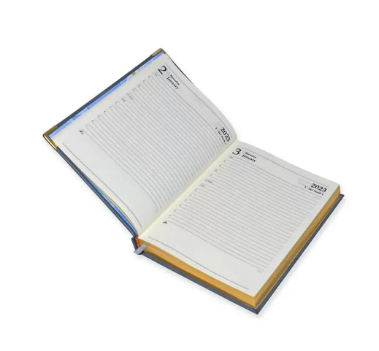 FIS 2023 Golden A5 Bonded Leather Diary English Gold Corner 1-Side Padded Grey -FSDI26EGBC23GY