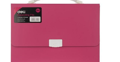 DELI W38126 EXPANDING FILE 13 POCKETS 12