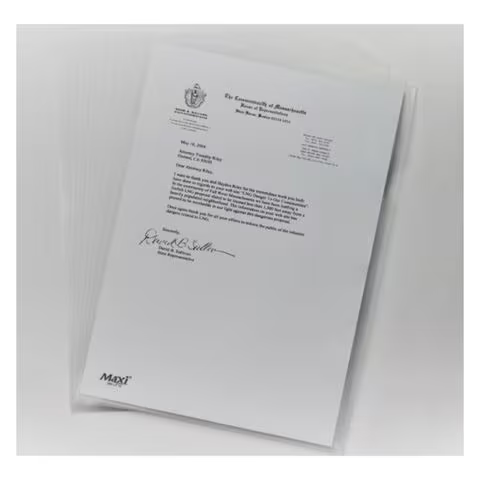 Maxi L-Shape File Clear 12